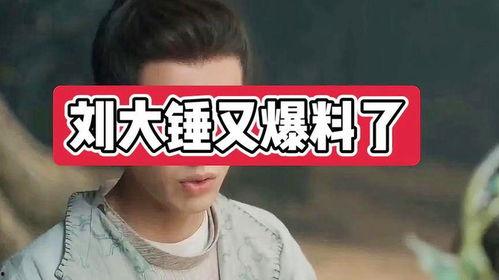 刘大锤爆料谢娜视频播放,娜姐真性情! 第1张 刘大锤爆料谢娜视频播放,娜姐真性情! 第1张