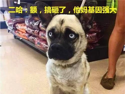 巴哥爆料山治视频在线观看,山治视频在线观看,精彩瞬间不容错过! 第2张 巴哥爆料山治视频在线观看,山治视频在线观看,精彩瞬间不容错过! 第2张